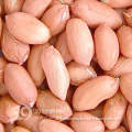 chinese peanut kernels( long type)